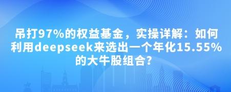 图片[1]-付费文章：吊打97%的权益基金，实操详解：如何利用deepseek来选出一个年化15.55%的大牛股组合?