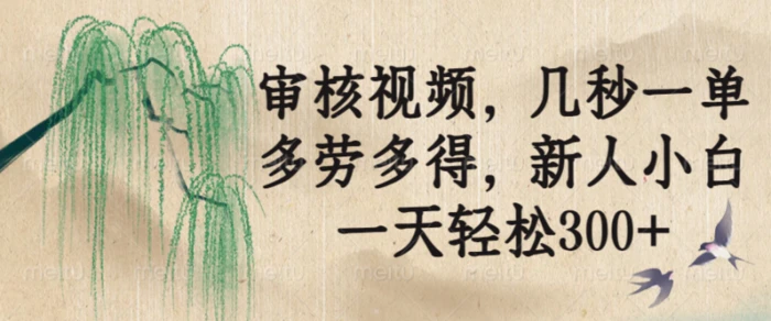 (14203期)审核视频,几秒一单,多劳多得,新人小白一天轻松300+-1