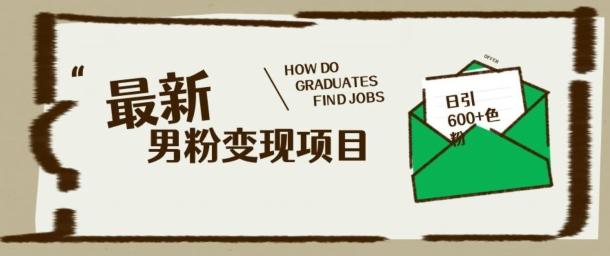 最新男粉变现项目，日引100+S粉，流量爆炸，小白轻松上手