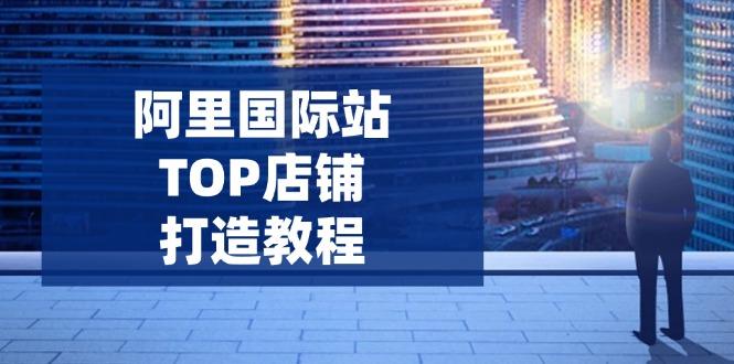 图片[1]-（14269期）阿里国际站TOP店铺打造教程：涵盖平台到高阶，解决运营难题，提升询盘