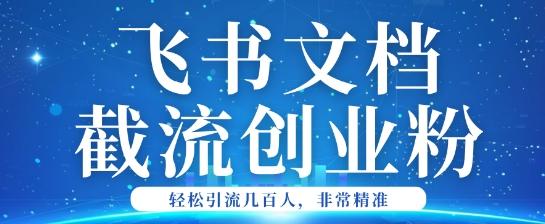利用飞书文档截流创业粉轻松引流200+