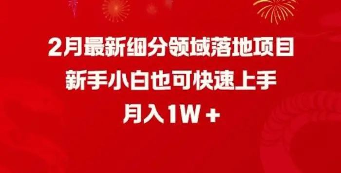 图片[1]-2月最新细分领域落地项目，新手小白也可快速上手，月入1W