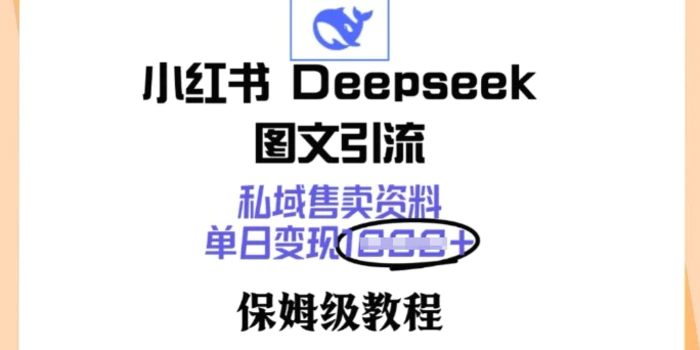 小红书Deepseek图文引流，私域售卖资料，单日变现多张，保姆级教程