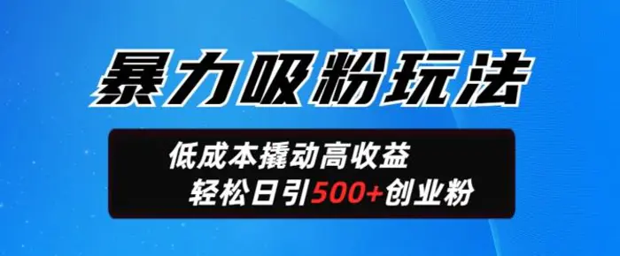 图片[1]-暴力吸粉玩法，日引500+精准创业粉，日变现轻松多张