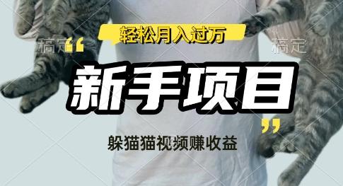 图片[1]-利用老外躲猫猫大赛视频，挣分成收益，操作简单，新手小白，轻松月入过W
