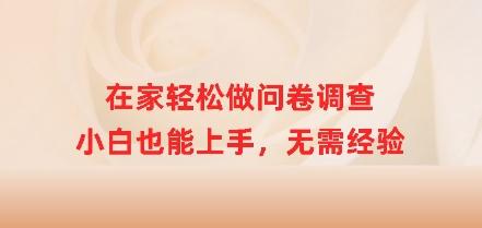 图片[1]-在家轻松做问卷调查，小白也能上手，无需经验