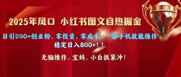 图片[1]-25年风口小红书图文掘金，日引300+创业粉、零投资、零成本、一部手机就能操作