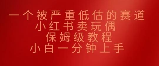 一个被严重低估的赛道，小红书卖玩偶，保姆级教程，小白一分钟上手