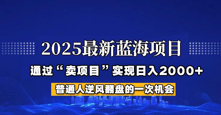 图片[1]-2025年蓝海项目，如何通过“网创项目”日入2000+