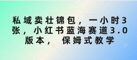 图片[1]-私域卖壮锦包，一小时3张，小红书蓝海赛道3.0版本， 保姆式教学