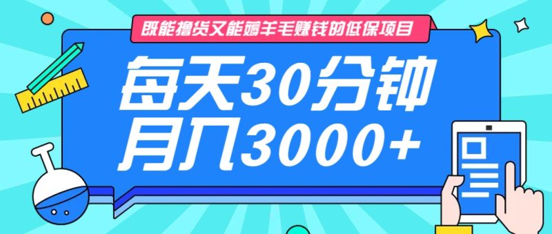 既能撸货又能赚钱的长期低保项目，每天30分钟，多号百分百稳定月入3000+！-1