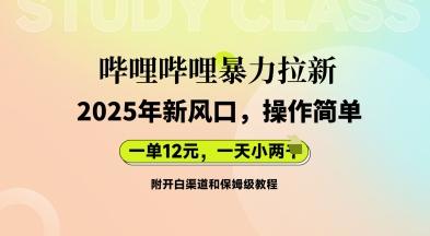 哔哩哔哩暴力拉新：2025年新风口，一单12元，一天数张(附开白渠道和保姆级教程)