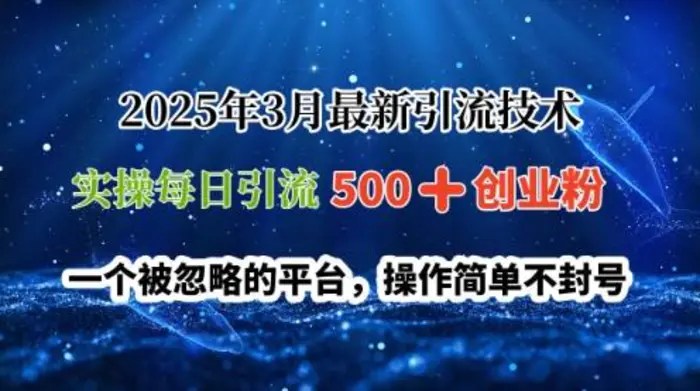 2025年3月最新引流技术，实操每日引流500+创业粉，一个被忽略的平台，操作简单不封号