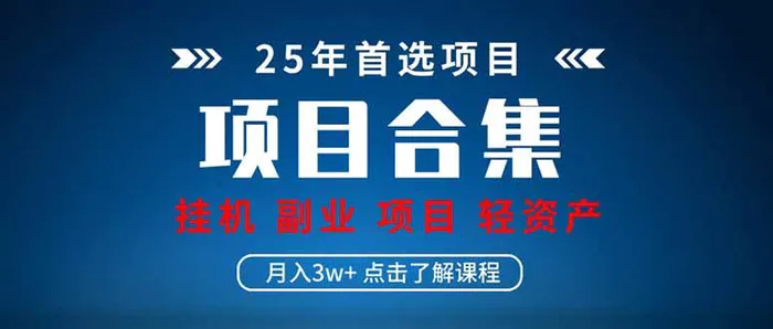 2025 实操项目合集 挂机类型 直播类型 轻资产创业类型 课程分享各项目…