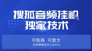图片[1]-【搜狐音频挂G】独家技术，可矩阵可放大，红利期稳定月入8k【揭秘】