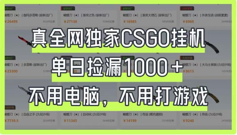 图片[1]-真全网独家CSGO挂机，单日捡漏1000+，不用电脑，不用养号