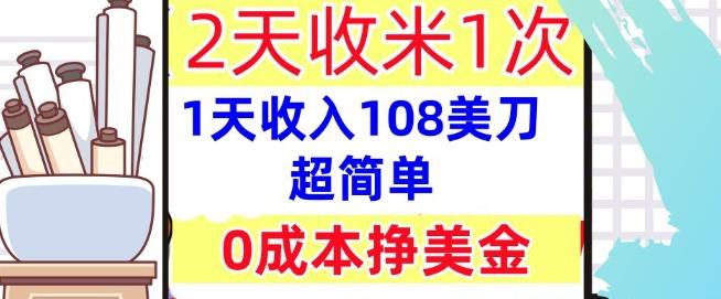 图片[1]-0成本挣美金，超简单，1天收入108刀，2天收米一次，实战教程，首次公开