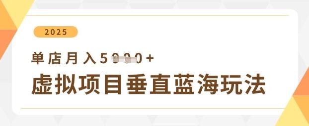 虚拟项目垂直玩法，实现单店月入5k+