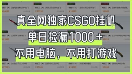 图片[1]-真全网独家CSGO挂G，单日捡漏1k+
