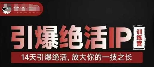 图片[1]-引爆绝活IP训练营，14天引爆绝活，放大你的一技之长