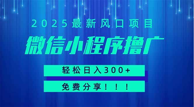微信小程序撸广，最新风口项目，日入300+ 免费分享 可批量操作 小白可…