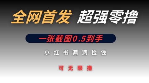 全网首发无限零撸捡钱项目，小红书一张截图0.5元可无限零撸