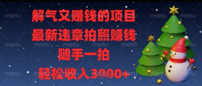 图片[1]-解气又挣钱的项目，最新违章拍照挣钱，随手一拍，轻松收入多张