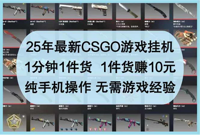图片[1]-（14439期）25年最新CSGO游戏挂机，1分钟1件货，1件货赚10元 纯手机操作 无需游戏经验