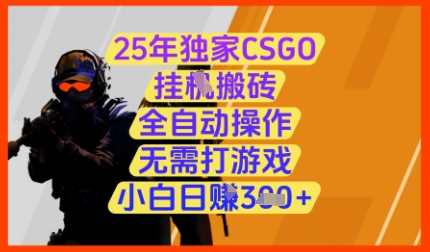 图片[1]-25年独家CSGO挂G搬砖，全自动操作，无需打游戏，小白日入3张+