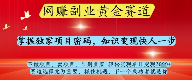 图片[1]-网创副业黄全赛道，掌握独家项目密码，知识变现快人一步，告别韭菜轻松实现单日变现1k+