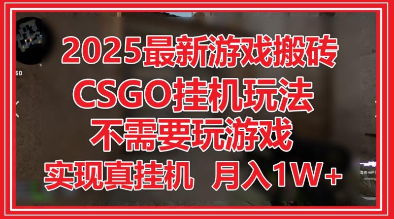图片[1]-（14743期）2025最新游戏搬砖，CSGO挂机，不需要玩游戏，实现真挂机，月入1W+