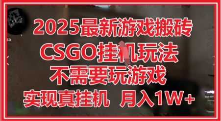 图片[1]-2025最新游戏搬砖，CSGO挂G，不需要玩游戏，实现真挂G，月入1W+