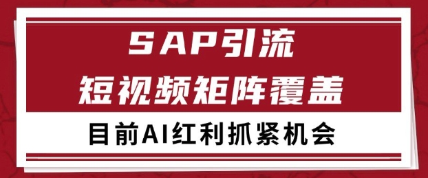 小红书某音sap赛道引流获客 自热矩阵日引200+-1