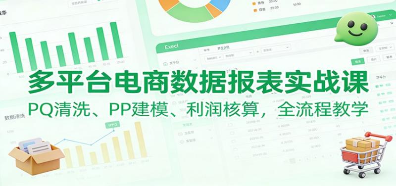 多平台电商数据报表实战课：PQ清洗、PP建模、 利润核算，全流程教学