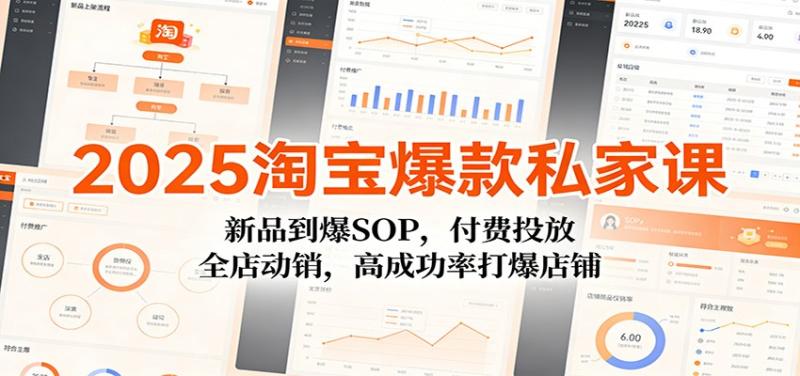 2025淘宝爆款私家课：新品到爆SOP，付费投放，全店动销，高成功率打爆店铺