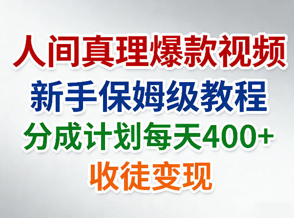 网站公告