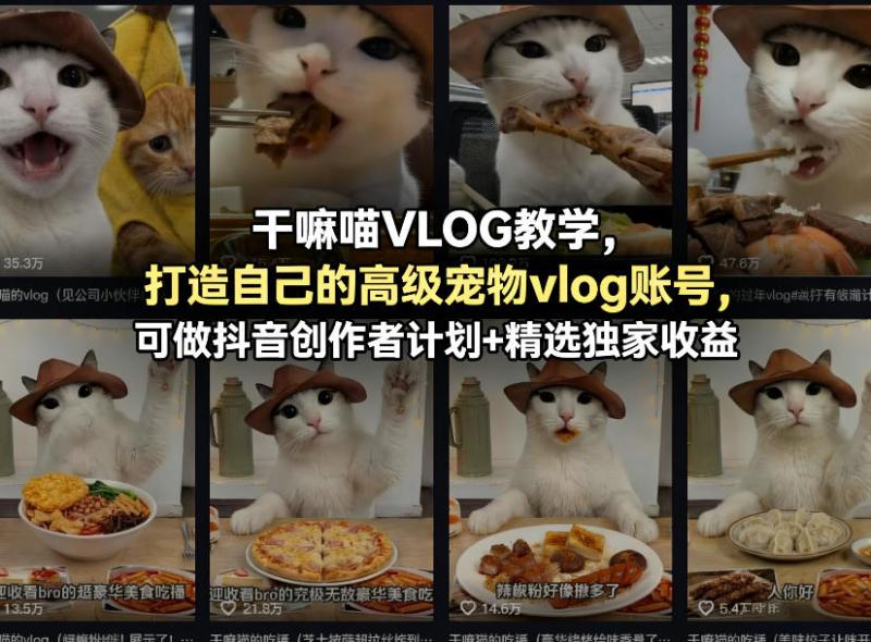 网站公告