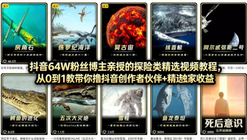 网站公告