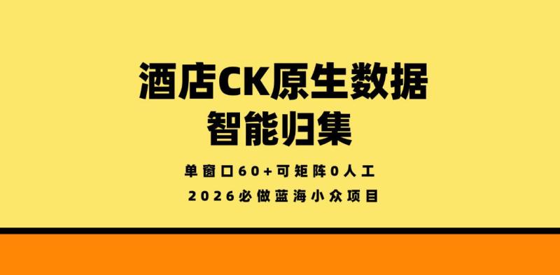 网站公告