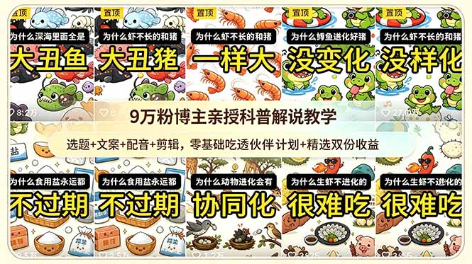 网站公告